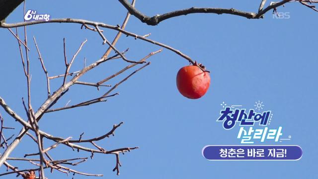 [청산에 살리라] 청춘은 바로 지금! | KBS 251211 방송