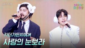 [세로] 카더가든X10CM - 사랑의 눈보라 | KBS 251212 방송
