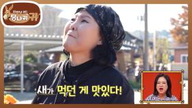 감나무 감 서리하는 순실 보스?! 맛있는 감은 이미 새차지🤣 | KBS 251214 방송