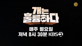 [개는 훌륭하다] 2026년에는 매주 월요일 저녁 8시 30분에 만나요🐶🌟 | KBS 방송
