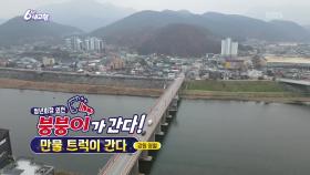 [붕붕이가 간다!] 만물 트럭이 간다 | KBS 251215 방송