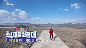 [식재료 원정대] 바닷길 따라 자란 맛 | KBS 251215 방송