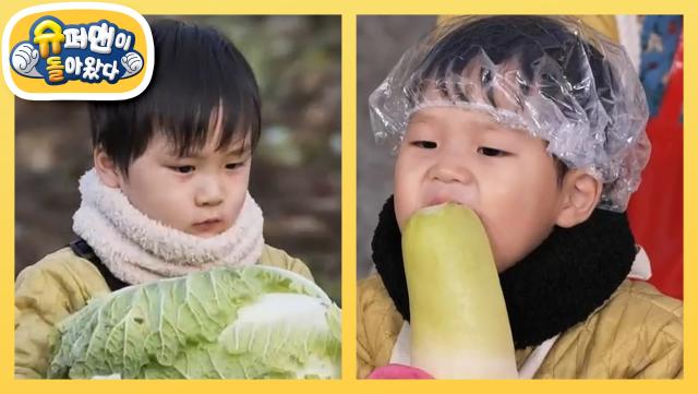 [준호&동민네] 배추 뽑는 중~ 부지런한 첫째 은우 지우vs베짱이 둘째 정우 시우 | KBS 251217 방송