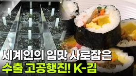 新VJ특공대: 수출 효자 K-김 생산 현장 | KBS 251217 방송