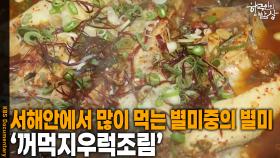 서해안에서 많이 먹는 별미중의 별미 ‘꺼먹지우럭조림’ | KBS 251218 방송