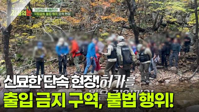 신묘한 단속 현장! 출입 금지 구역, 명백한 불법 행위! [리얼 카메라 진실의 눈] | KBS 251219 방송