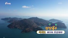 [섬섬옥수] 욕지도 바다야, 반갑데이! | KBS 251219 방송