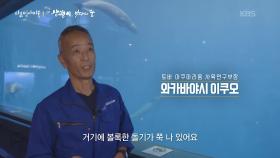 아시아 중에 삼괭이 연구가 가장 활발한 일본 | KBS 251218 방송