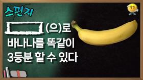 [ ](으)로 바나나를 똑같이 3등분 할 수 있다 [스펀지 레전드] | KBS 060520방송