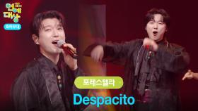 포레스텔라 - Despacito | KBS 251220 방송