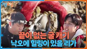 낙오됐는데 힐링이라고? 아니 낙오에 힐링이 있을 리가😏 | KBS 251221 방송