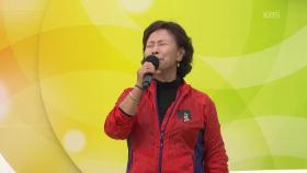 영양읍 동부리에서 온! 류순자 씨의 해바라기 꽃 | KBS 251221 방송