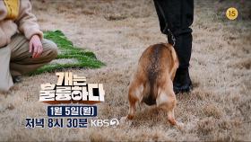 [개는 훌륭하다] 1월부터 월요일 저녁 8시 30분, 고민견을 찾아갑니다! | KBS 방송