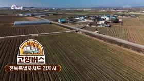 [달려라 고향버스] 전북 김제 | KBS 251223 방송