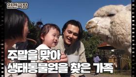 [힘내라, 헬스보이] (6/15) [인간극장/Screening Humanity] | KBS 251223 방송