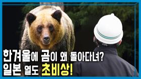 곰들의 천국 된 일본, 장기적 대책은? | KBS 251220 방송