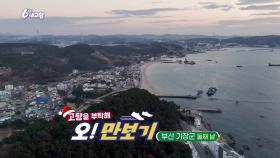 [고향을 부탁해 오!만보기] 부산광역시 기장군 [둘째 날] | KBS 251224 방송