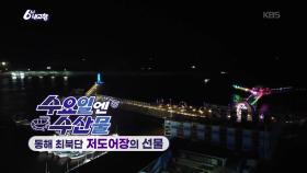 [수요일엔 수산물] 저도어장의 선물, 대문어 | KBS 251224 방송