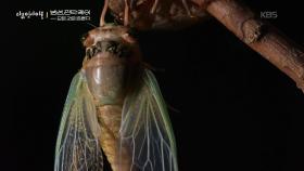 밤섬과 함께하는 사람들 | KBS 251225 방송