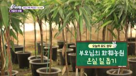 [효도 기획 박대리] 겨울의 선물 - 전남 함평 | KBS 251226 방송