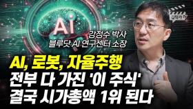 AI, 로봇, 자율주행 전부 다 가진 '이 주식', 결국 시가총액 1위 된다 (강정수 박사)