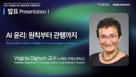 AI 윤리: 원칙부터 관행까지 | 버지니아 디그넘 교수(스웨덴 우메오 대학교)