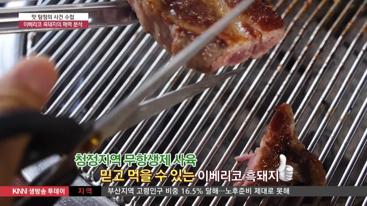 진주 미식가의구이 ☎055-748-8527 : TV줌 진주 미식가의구이 ☎055-748-8527