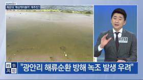 해운대 ′해상케이블카′ 재추진 ?