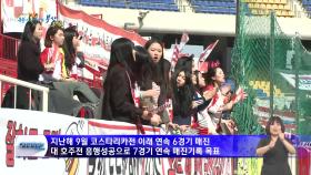 축구국가대표 친선경기(A매치) 부산 개최