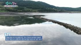 옛 사람들의 지혜, 고기잡는 바위 ‘독살’ [섬마을할매 15회]