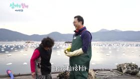 산달도 바다 위에서 먹는 꿀맛~ 나는 ‘굴 라면’ [섬마을할매 20회]