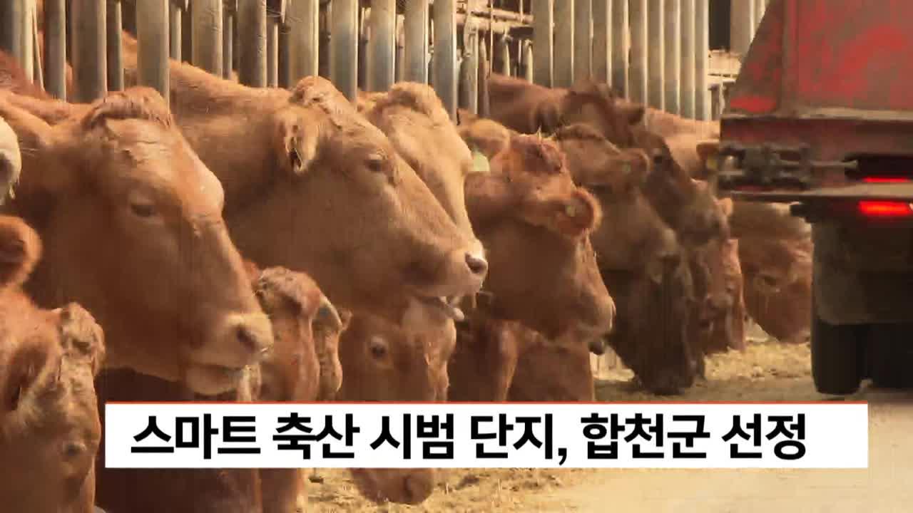스마트 축산 ICT 시범단지 조성 공모사업에 합천군 선정