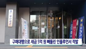 구매대행으로 세금 5억 원 빼돌린 인플루언서 적발