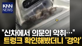 새 차에서 풍기는 ′의문의 악취′...트렁크 확인해봤다가 ′경악′ / KNN