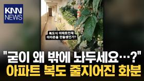 ＂아파트 복도에 웬 화분이…＂ 상식 밖 이웃의 행동 ′황당′ / KNN