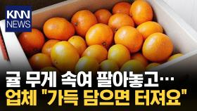 5kg 귤 상자 주문했는데…500g 빼고 보낸 업체 ′황당′/ KNN