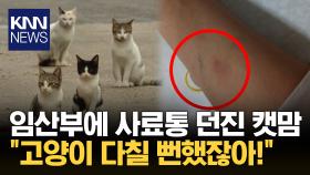 사료통 ′퍽′ 던지면서 ＂우리 애 다칠 뻔 했잖아!＂ 무슨 일? / KNN