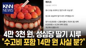 줄 서서 사먹는 성심당 딸기 시루...14만 원 중고거래 글 등장 / KNN