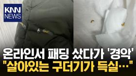 ＂이걸 대체 어떻게 입어?＂ 구더기 가득한 패딩 ′충격′ / KNN