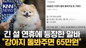 ＂설 연휴에 반려견 돌봐주실 분＂ 이색 아르바이트 눈길 / KNN