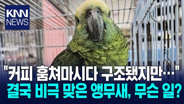 카페서 커피 마시던 ′멸종위기종′ 8일만에 비극적 결말 이럴 수가… / KNN