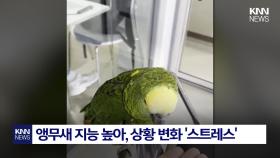 카페서 커피 마시던 ′멸종위기종′ 8일만에 비극적 결말 이럴 수가… / KNN