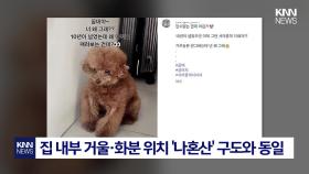 주사 이모, ′샤이니 키′와 연관성? ′10년 인연′ 반려견 게시물 파장 / KNN