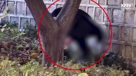 좌석·바닥에 그대로 남은 대변 지하철 승객들 ′아수라장′ / KNN