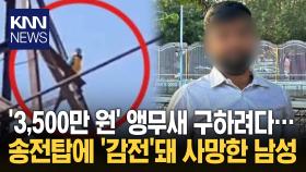 희귀 앵무새 구하려다 감전사 목숨보다 귀한 새?…＂얼마길래＂ / KNN