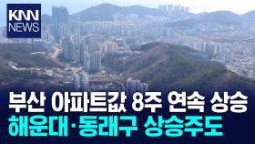부산 아파트값 8주째 상승