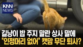 ′회사′보다 고양이 밥이 우선? ＂먹이 주지 마＂에 캣맘 무단 퇴사 / KNN