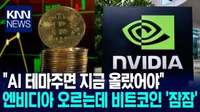 엔비디아는 오르는데 비트코인은 ′조용′…전문가 ＂기술주면 AI 열풍 때 올랐어야＂