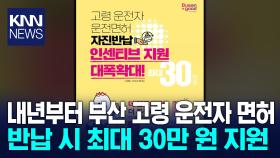 부산시, 고령자·사업용 차량 중심 교통안전 관리 강화