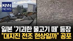 회색으로 뒤덮인 일본 강? 영문 모를 물고기 떼 ′충격′ / KNN